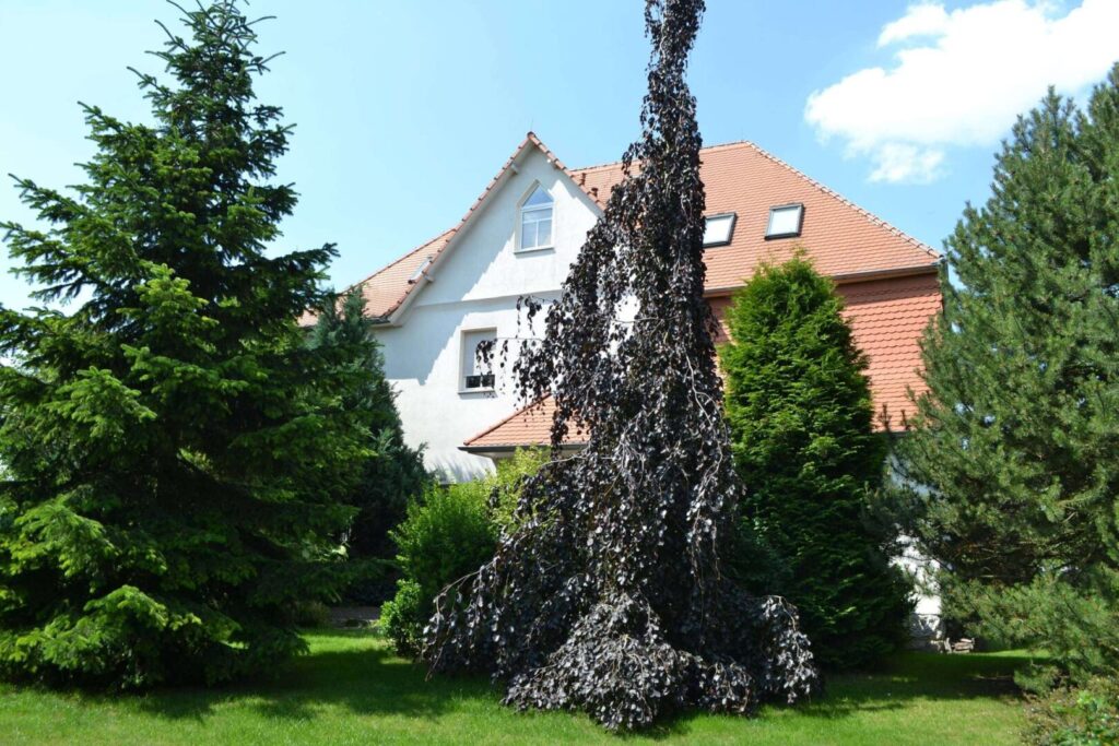 Das Haus