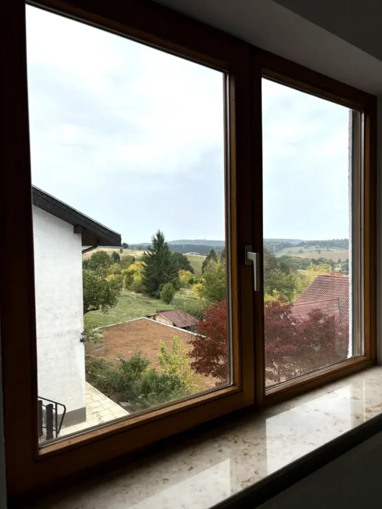 Ausblick